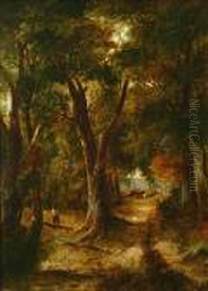 A Wooding Team In Awooded Clearing - view 1