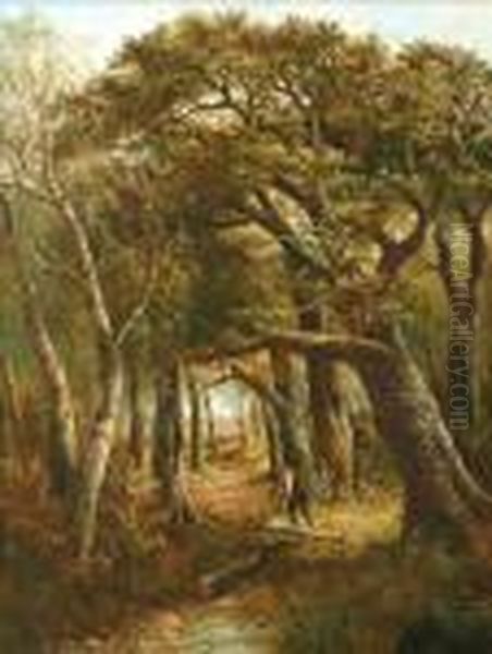 A Woodcutter - view 1