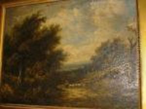 And Flock On A Track In A Wooded Landscape