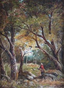 Woodland Scene Woodland Scene