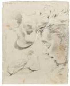 A Sheet Of Several Studies