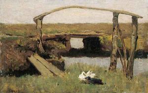 Ducks at the waterside by Jan Sirks