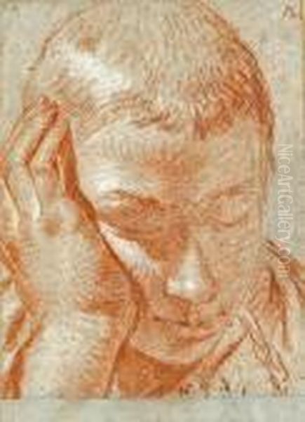 The Head Of A Boy, His Right Hand Tocheek - view 1