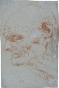 Head Of Seneca In Profile, Looking To The Left