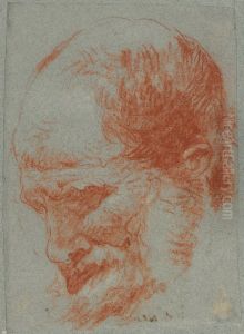Head Of A Bearded Man