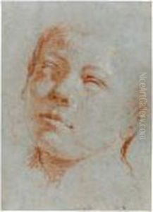 Head Of A Boy, Looking Up To The Left by Giovanni Battista Tiepolo