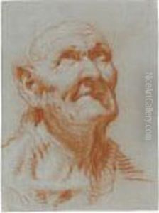 Head Of An Old Man, Looking Upwards by Giovanni Battista Tiepolo