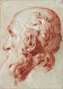 The Head Of Giulio Contarini, After Alessandro Vittoria by Giovanni Battista Tiepolo