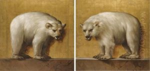 Polar Bears