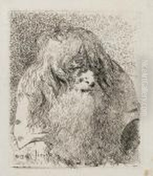 Man With Hooked Nose And Long Beard - view 1