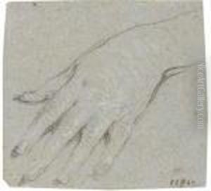 Study Of A Left Hand