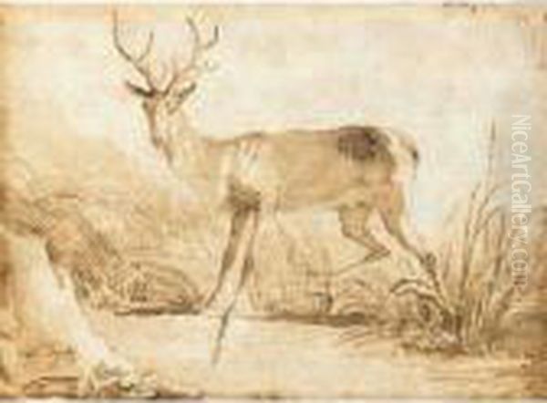 A Stag By A Riverbank - view 1