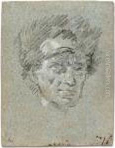 Head Of A Man Wearing A Fur Hat by Giovanni Domenico Tiepolo