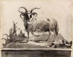 A Ram Walking To The Left A Ram Walking To The Left
