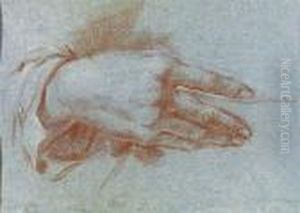 Study Of A Hand Study Of A Hand