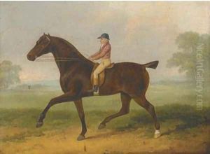 A racehorse with jockey up by John Nott Sartorius