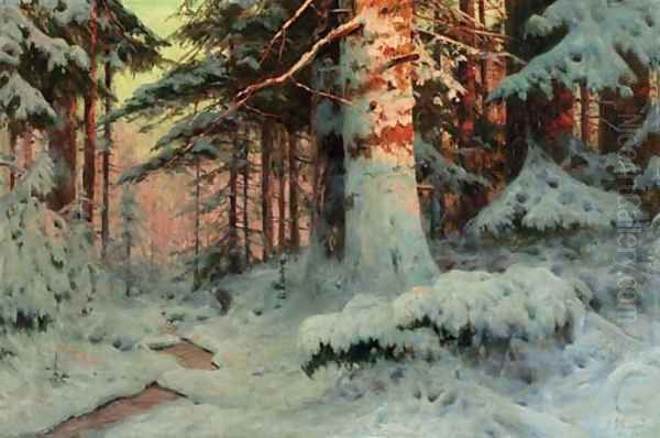 Winter Sunlight in the evergreen Forest - view 1