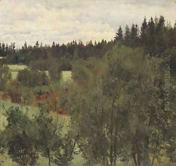 An extensive wooded landscape - view 1