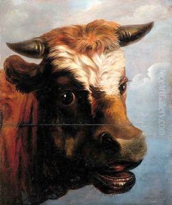Head of a bull