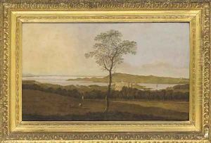 Castle Ward, County Down, Ireland by Irish School
