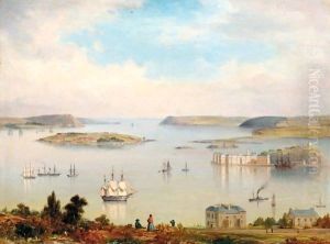 A panoramic view of Cork Harbour A two-decker, paddlesteamers and other shipping inshore
