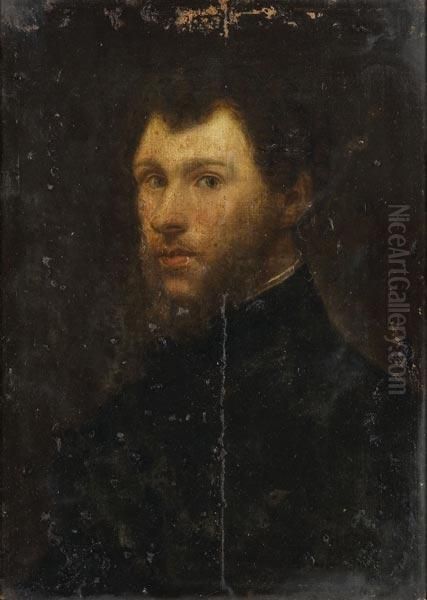Cm. 59 X 42 - view 1