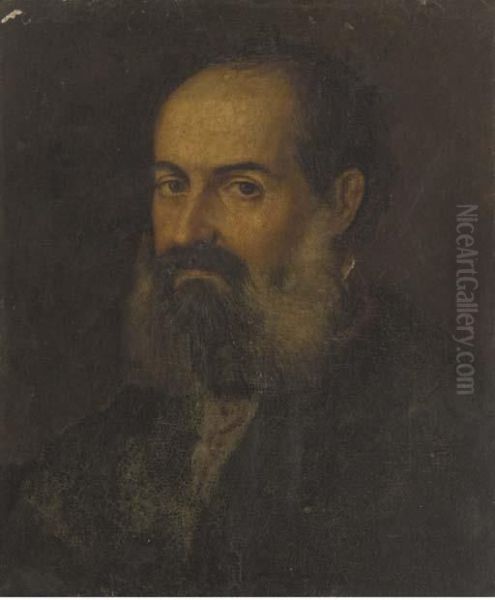 Portrait Of A Bearded Man, Bust-length - view 1