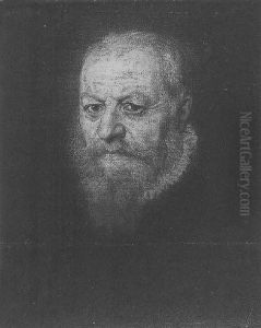Portrait Of A Man by Jacopo Tintoretto (Robusti)