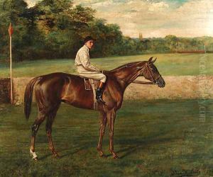 A chestnut Racehorse with Jockey-up, on a racecourse