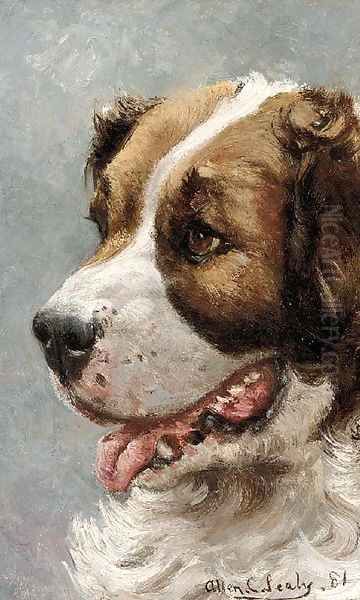 The head of a St. Bernard - view 1