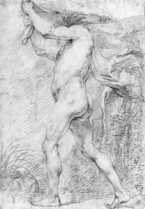 A nude, holding a cloth above his head by Andrea Sacchi