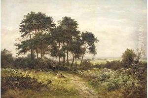 A summer's day, Hindhead, Surrey by Daniel Sherrin
