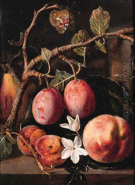 Plums, apricots on a twig - view 1