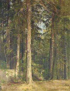 At the edge of the forest