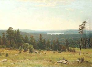 A lakeside forest