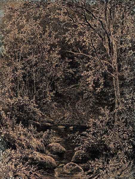 Stream in a wooded Glade - view 1