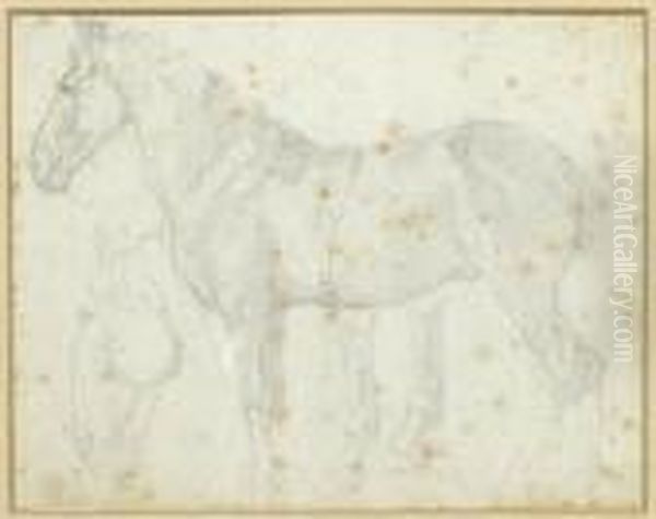 Horse Study - view 1