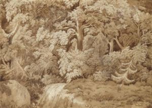 Waldlandschaft Mit Kleinem Wasserfall - Landschaftsstudie