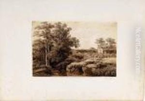 Paysage Et Etang