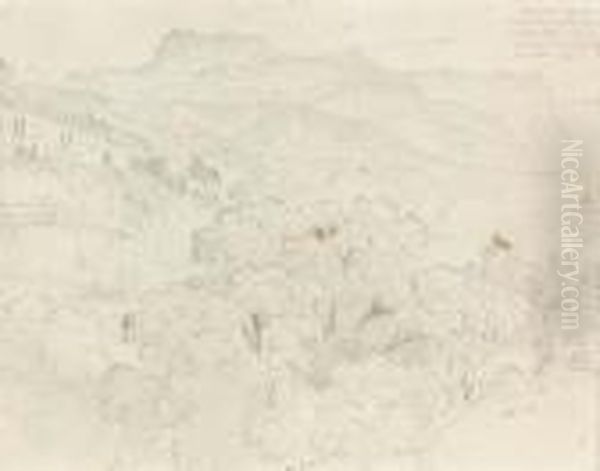 Bewaldete Berglandschaft. - view 1
