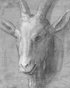 The head of a goat by Genoese School