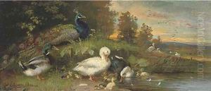 Ducks and a peacock on the banks of a river at dusk by Julius Scheuerer