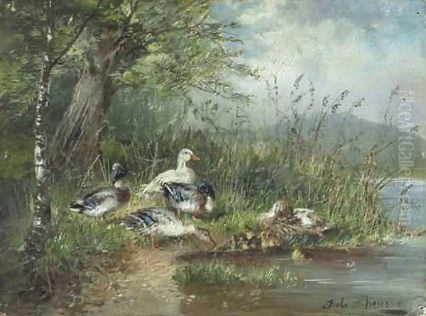 Ducks on a riverbank - view 1
