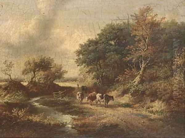 Cattle on a wooded track - view 1