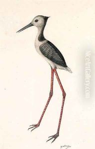 Four Studies of South East Asian Birds by South East Asian School