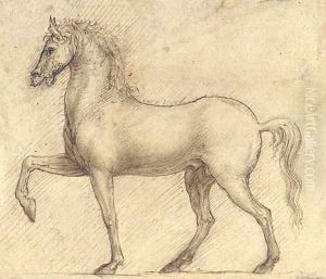 A horse in profile to the left by Cesare da Sesto