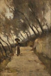 Strada Fra Gli Ulivi E Contadina