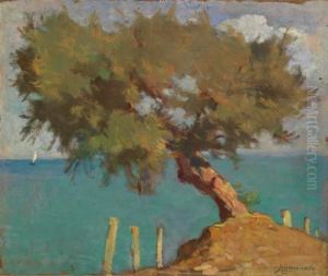 Tamerici A Castiglioncello Tamerici A Castiglioncello