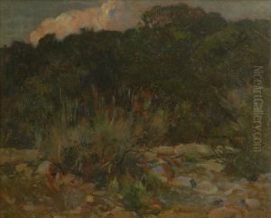 Campolecciano by Ludovico Tommasi