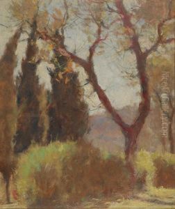 L'alberobiforcuto L'alberobiforcuto